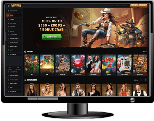 Wildsino Casino Website